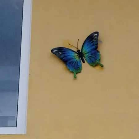 La Casa De Lidia *